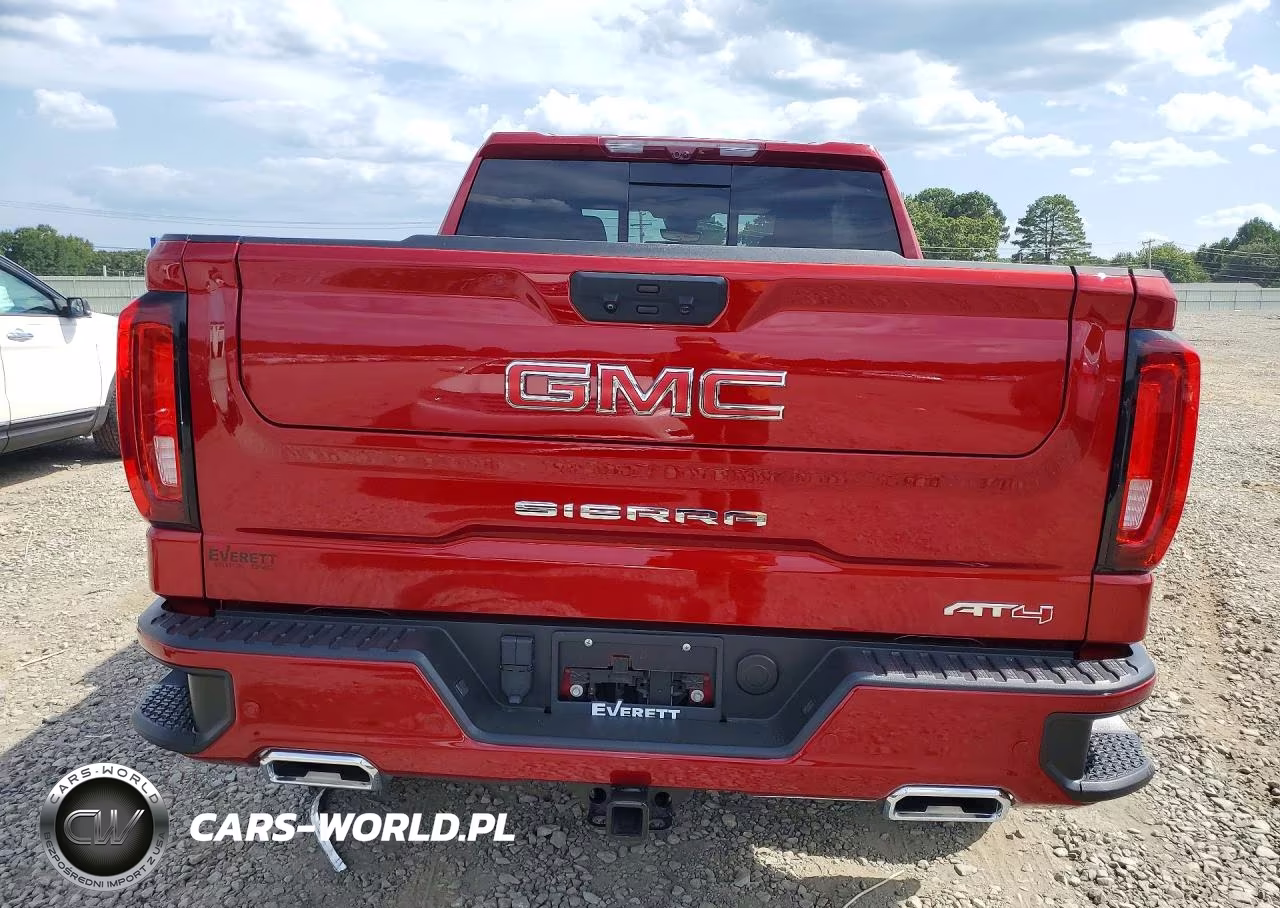 2025 GMC Sierra K1500 At4 VIN:3GTUUEE87SG288857 - 6