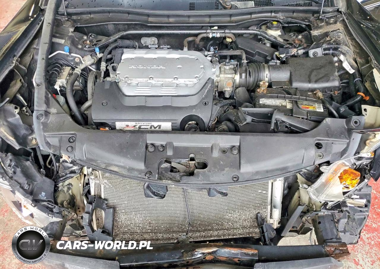 2009 Honda Accord Exl VIN:5KBCP36819B501955 - 11