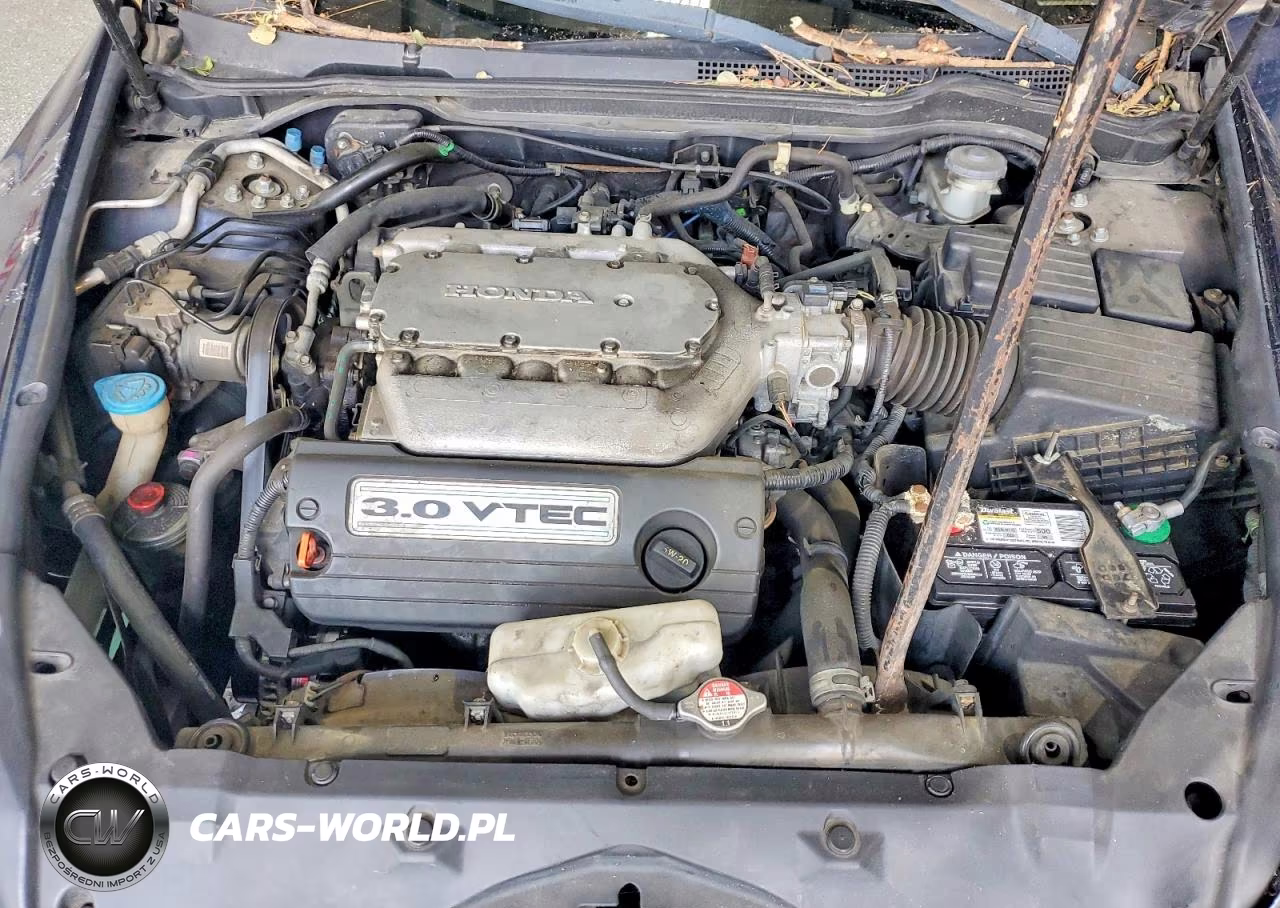 2004 Honda Accord Ex VIN:1HGCM66584A010591 - 11