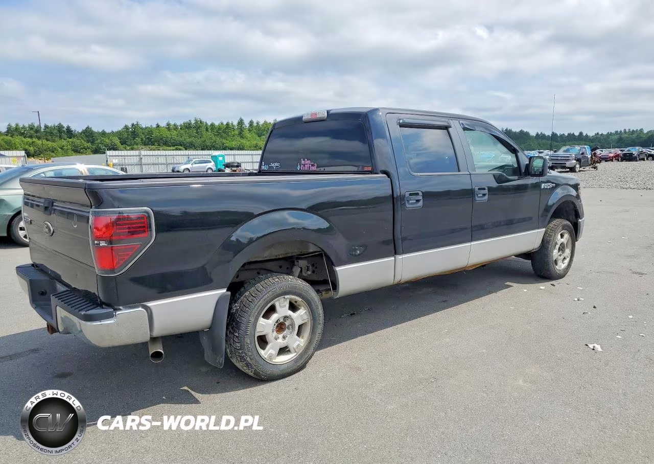 2010 Ford F150 Supercrew VIN:1FTFW1EV5AFA55092 - 3
