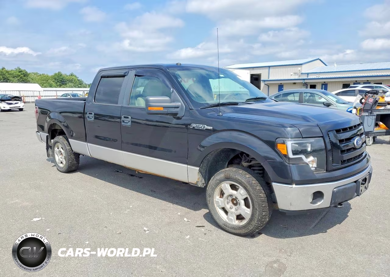 2010 Ford F150 Supercrew VIN:1FTFW1EV5AFA55092 - 4