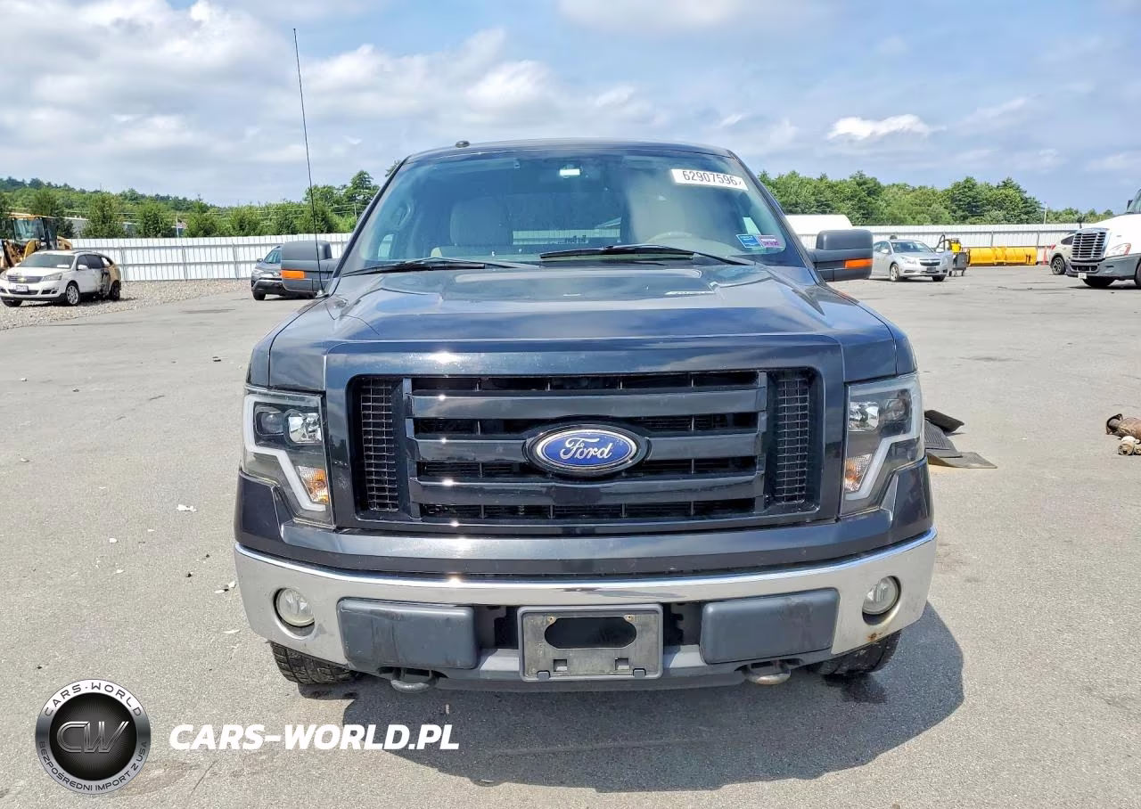 2010 Ford F150 Supercrew VIN:1FTFW1EV5AFA55092 - 5