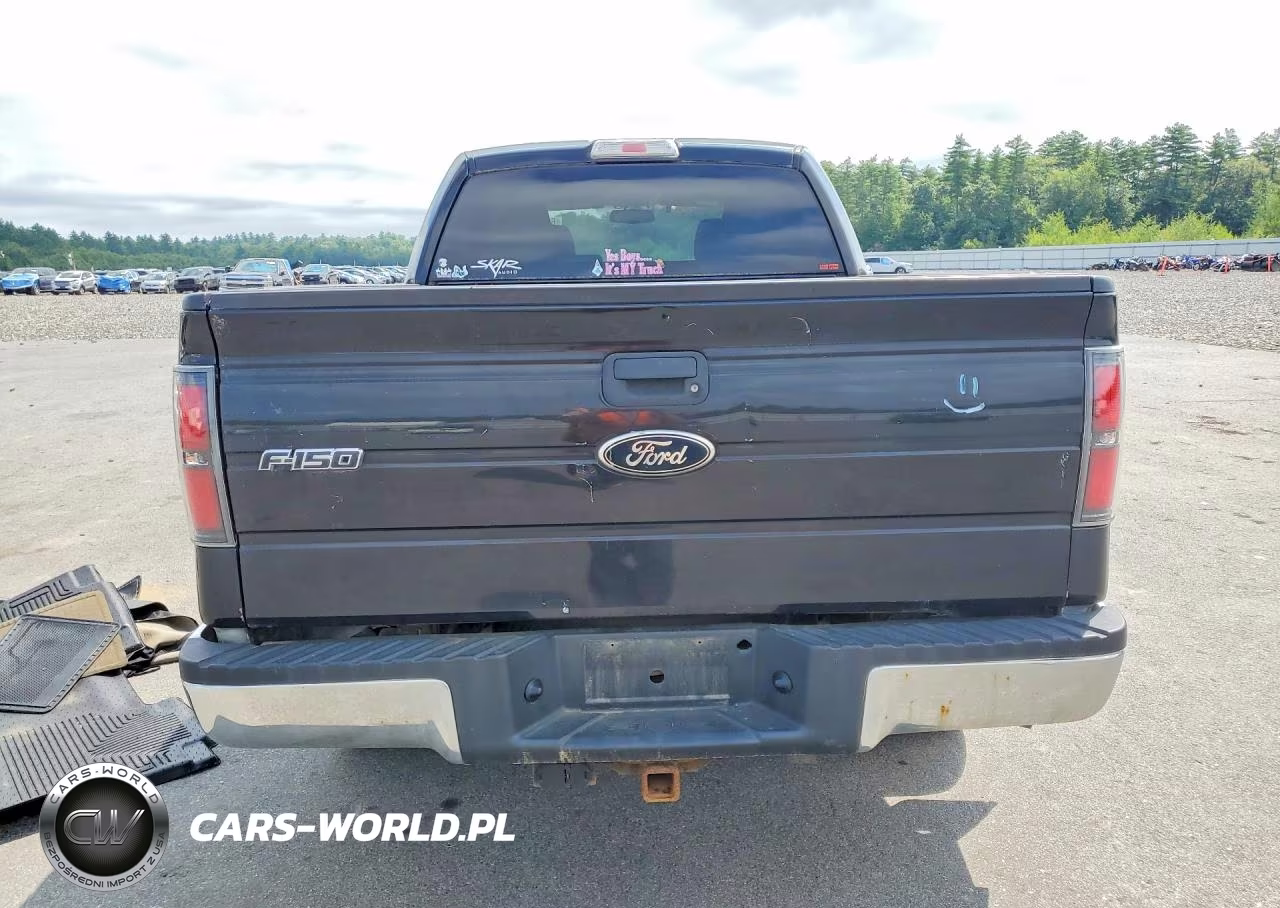 2010 Ford F150 Supercrew VIN:1FTFW1EV5AFA55092 - 6