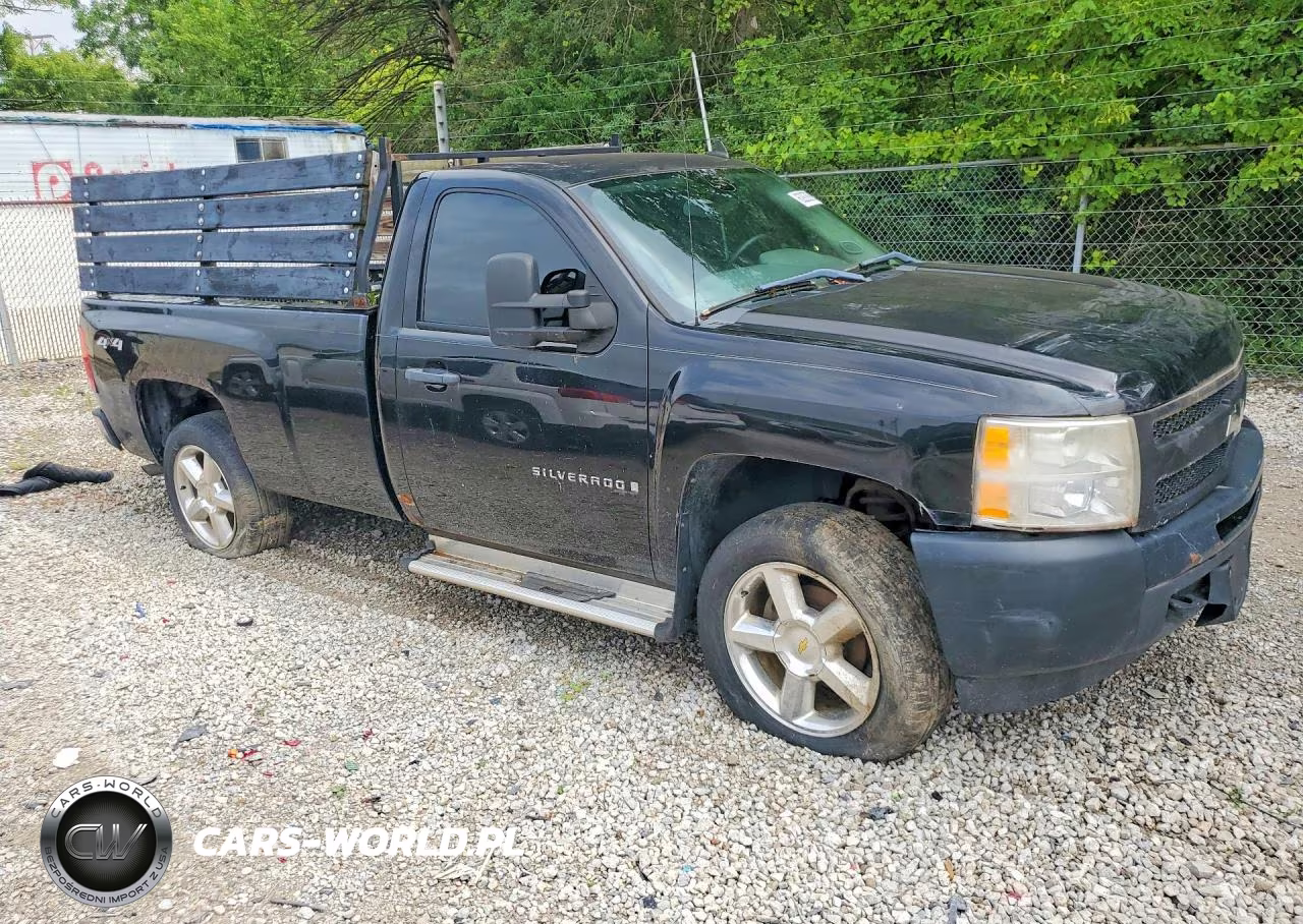 2009 Chevrolet Silverado K1500 VIN:1GCEK14X09Z176651 - 4