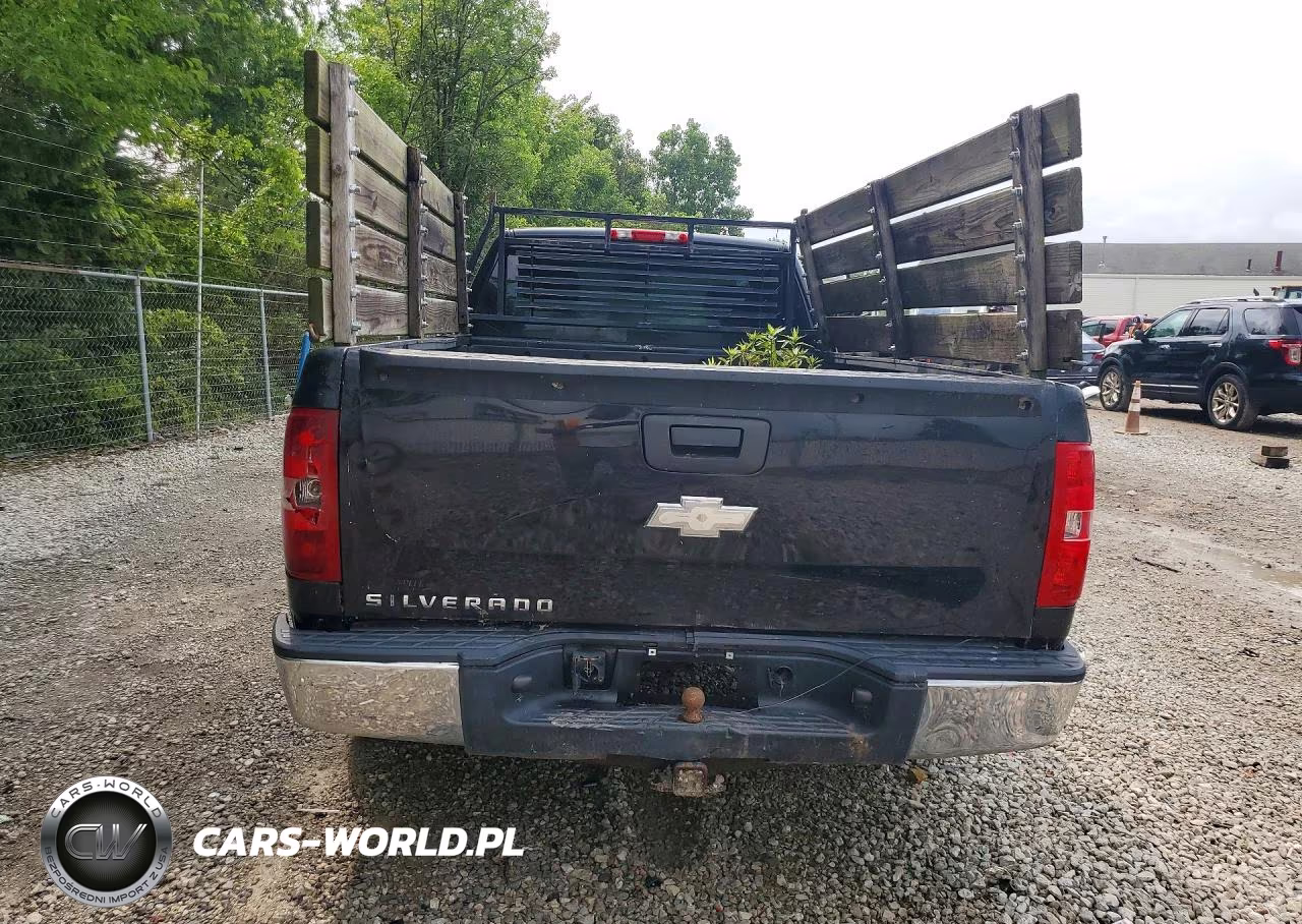 2009 Chevrolet Silverado K1500 VIN:1GCEK14X09Z176651 - 6