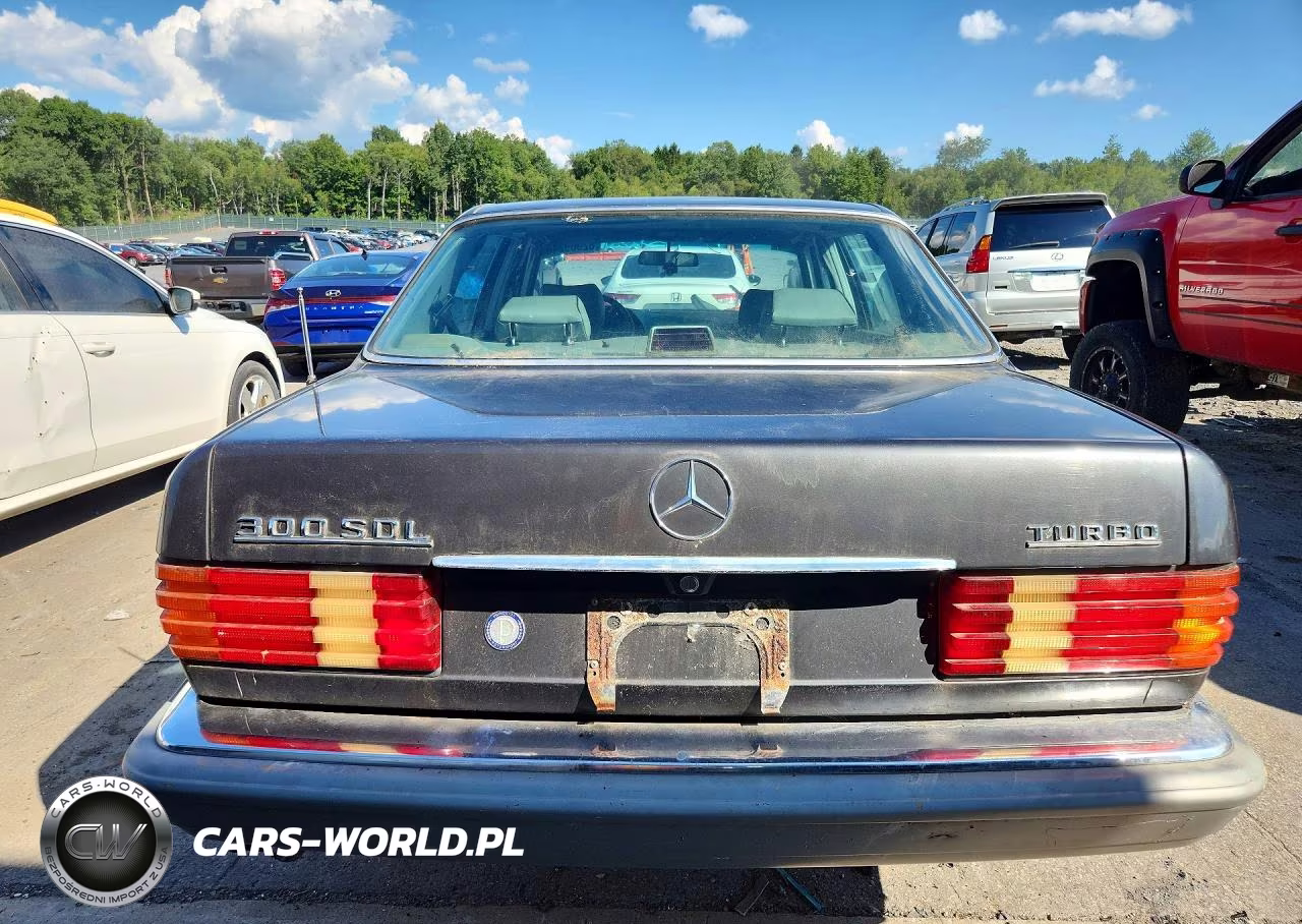 1987 Merz 300-Class VIN:WDBCB25D1HA309818 - 6