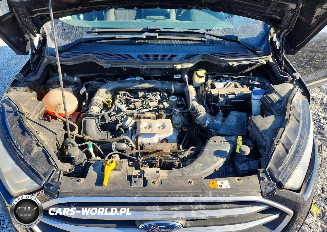 2018 Ford Ecosport Se VIN:MAJ3P1TE6JC240634 - 12