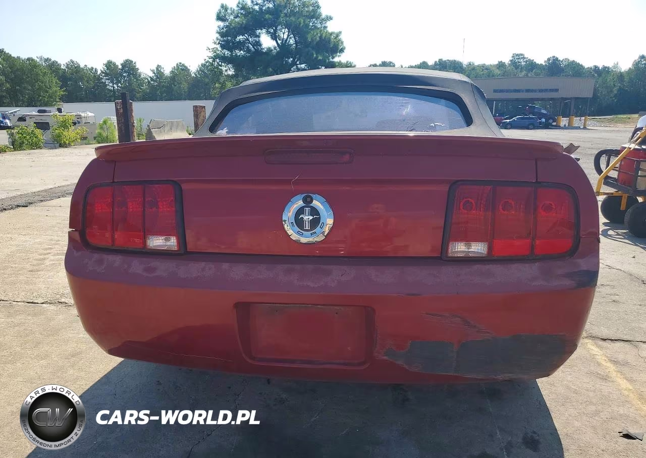 2008 Ford Mustang VIN:1ZVHT84N185118729 - 6