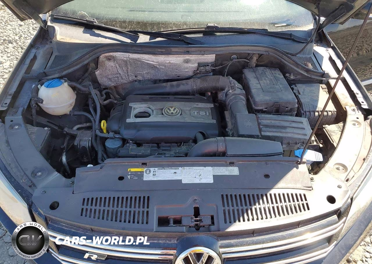 2015 Volkswagen Tiguan S VIN:WVGAV7AX5FW550077 - 12