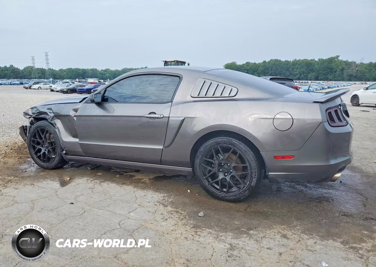 2014 Ford Mustang VIN:1ZVBP8AM9E5286426 - 2