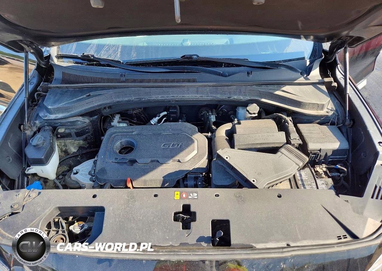 2020 Hyundai Santa Fe Sel VIN:5NMS3CAD1LH200926 - 12