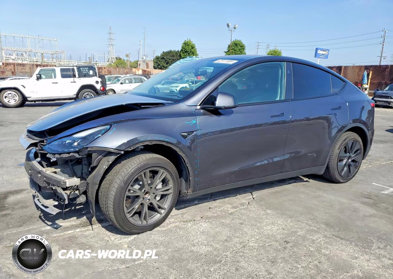 2024 Tesla Model Y VIN:7SAYGDED3RF102444 - 1