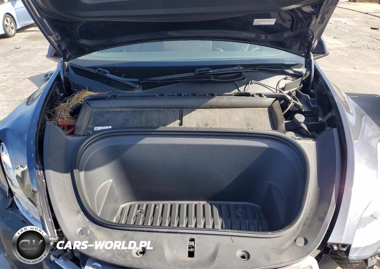 2024 Tesla Model Y VIN:7SAYGDED3RF102444 - 11