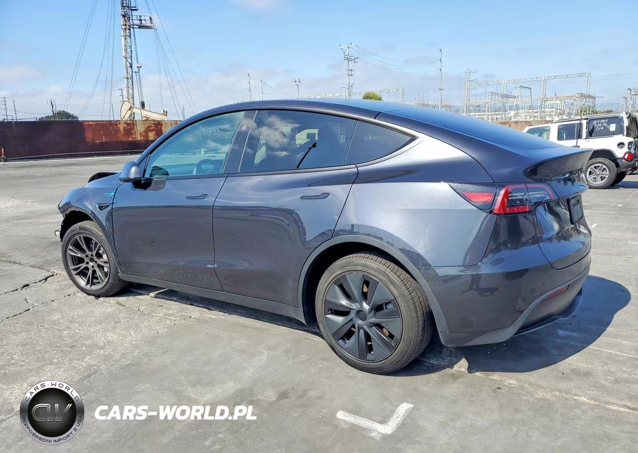 2024 Tesla Model Y VIN:7SAYGDED3RF102444 - 2