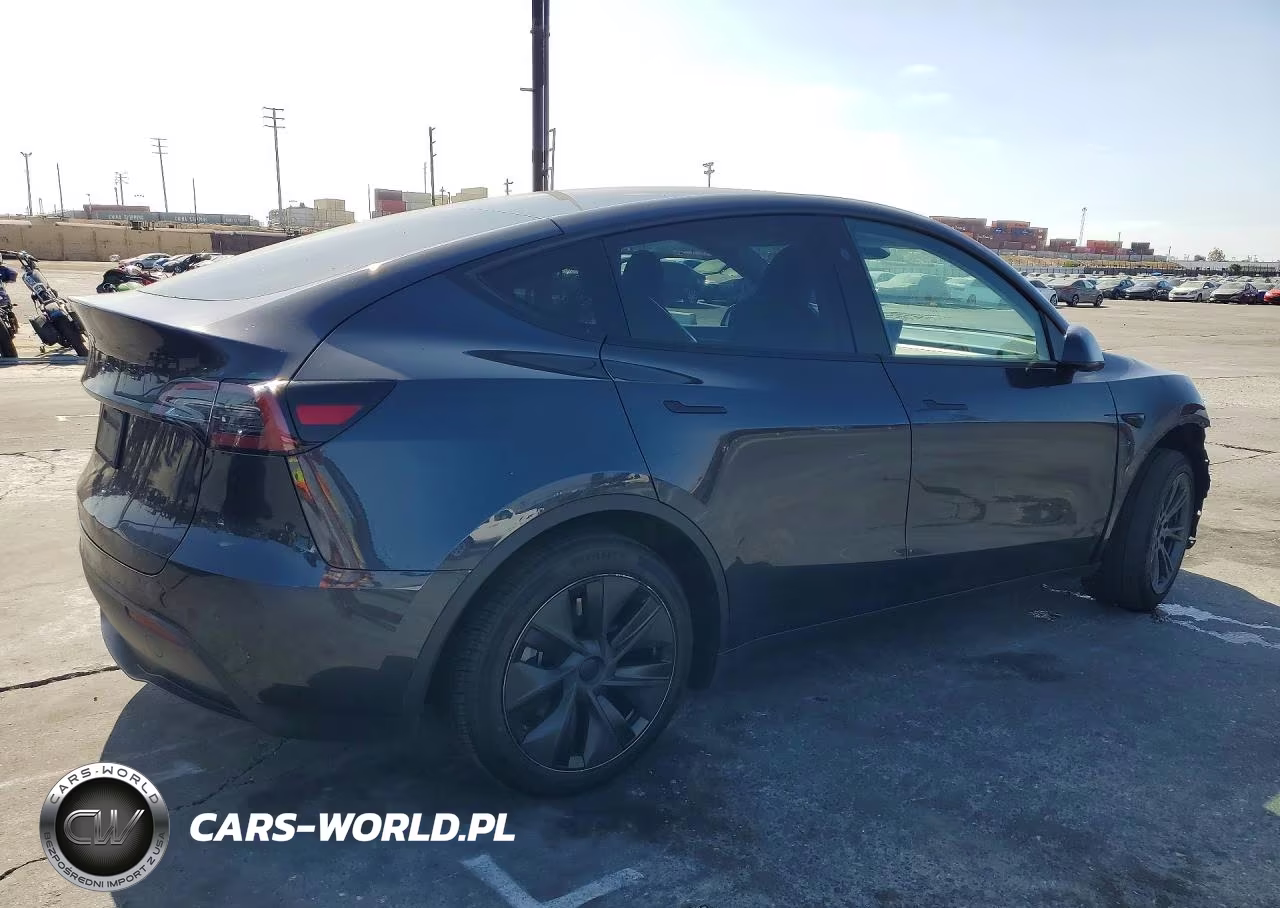 2024 Tesla Model Y VIN:7SAYGDED3RF102444 - 3