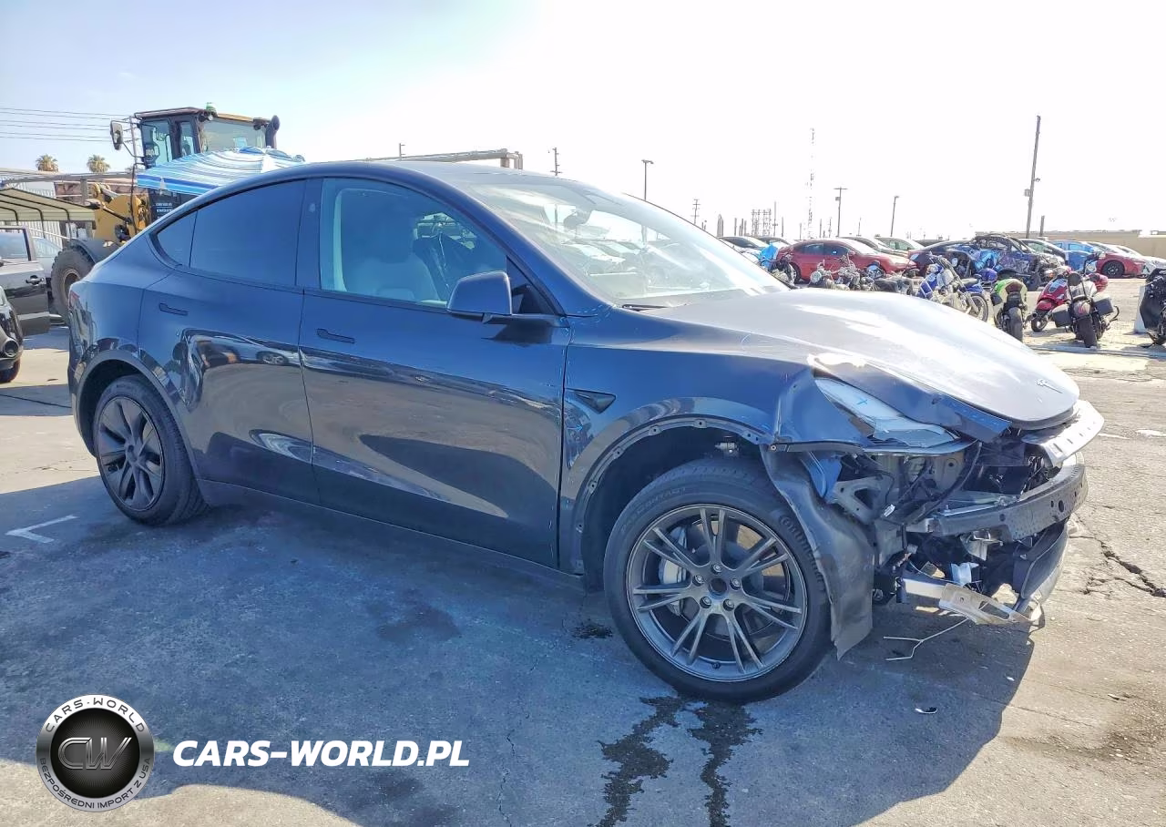 2024 Tesla Model Y VIN:7SAYGDED3RF102444 - 4