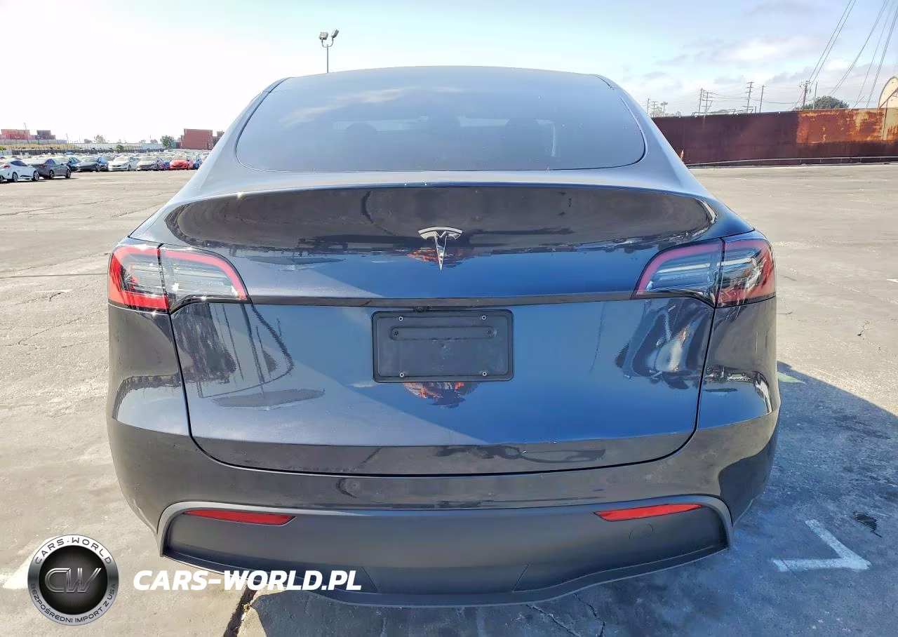 2024 Tesla Model Y VIN:7SAYGDED3RF102444 - 6