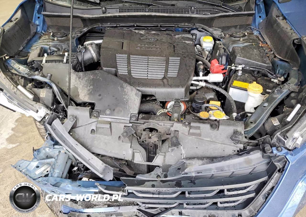 2024 Subaru Forester Premium VIN:JF2SKADC0RH418233 - 12