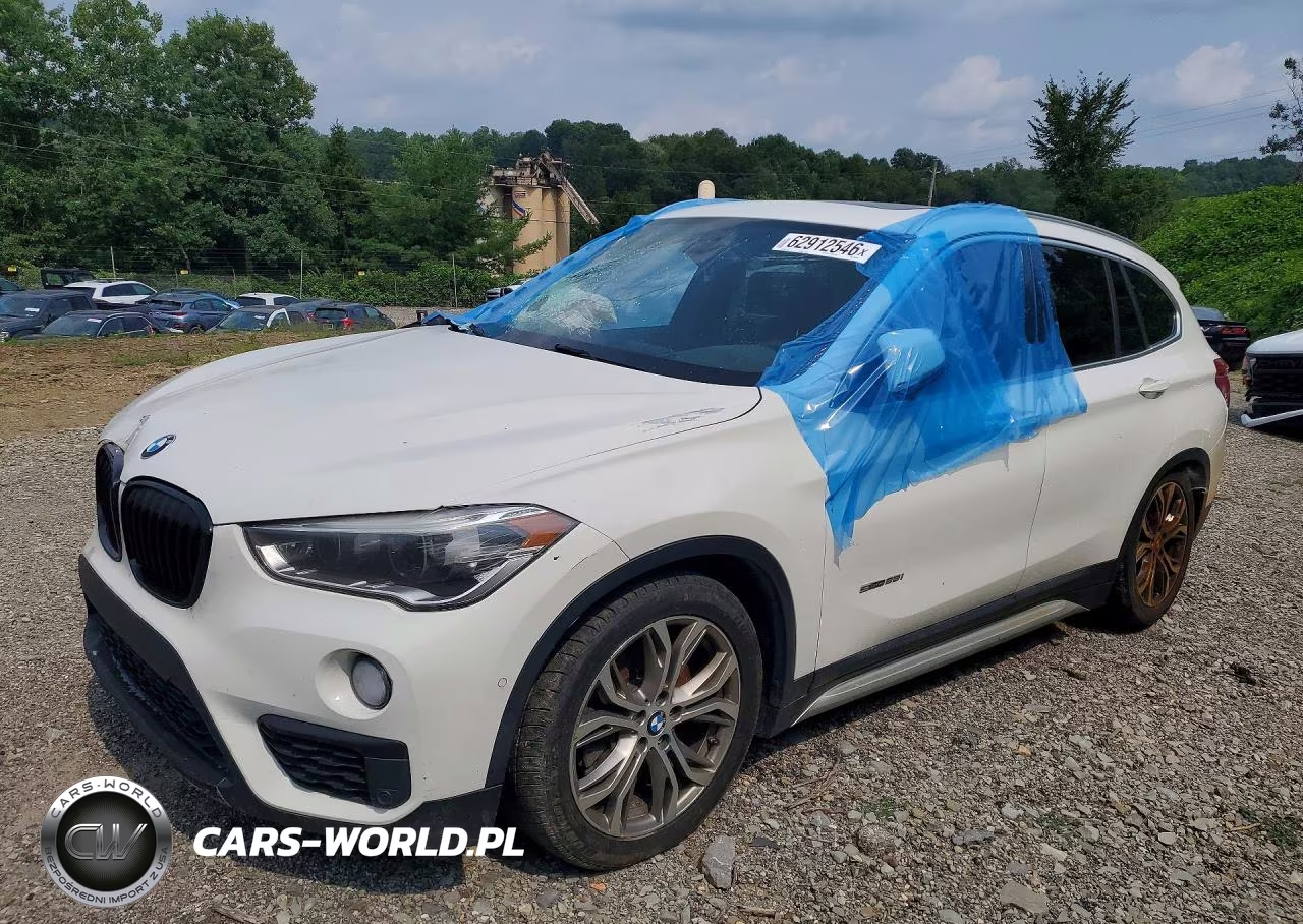 2017 BMW X1 Sdrive28I – zdjęcie 1 z 13
