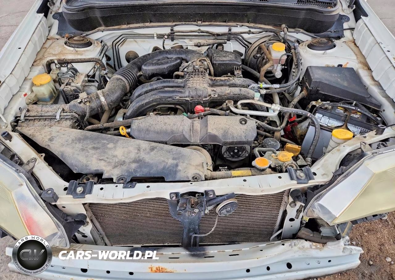 2013 Subaru Forester 2.5X VIN:JF2SHAAC0DH444682 - 12
