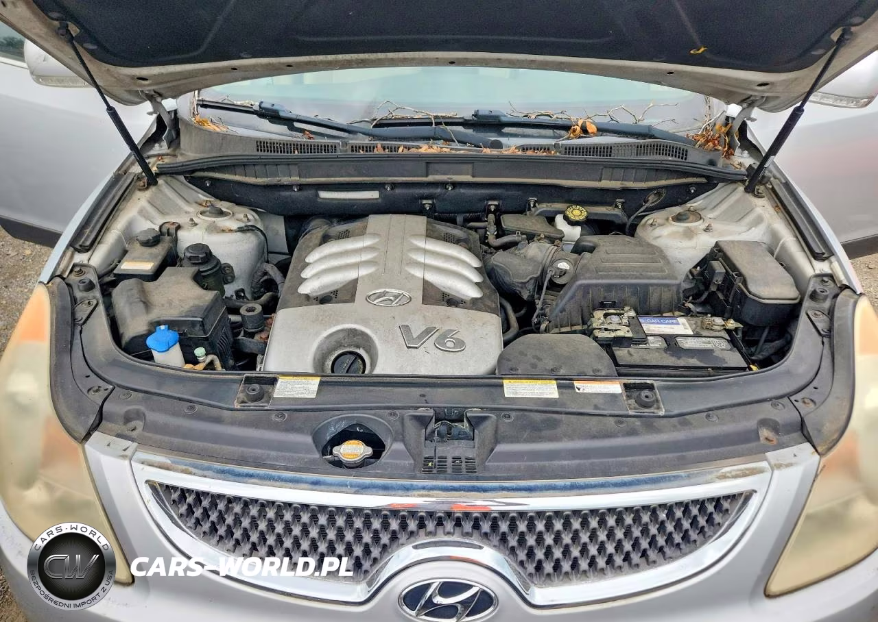2007 Hyundai Veracruz Gls VIN:KM8NU13C57U022757 - 12