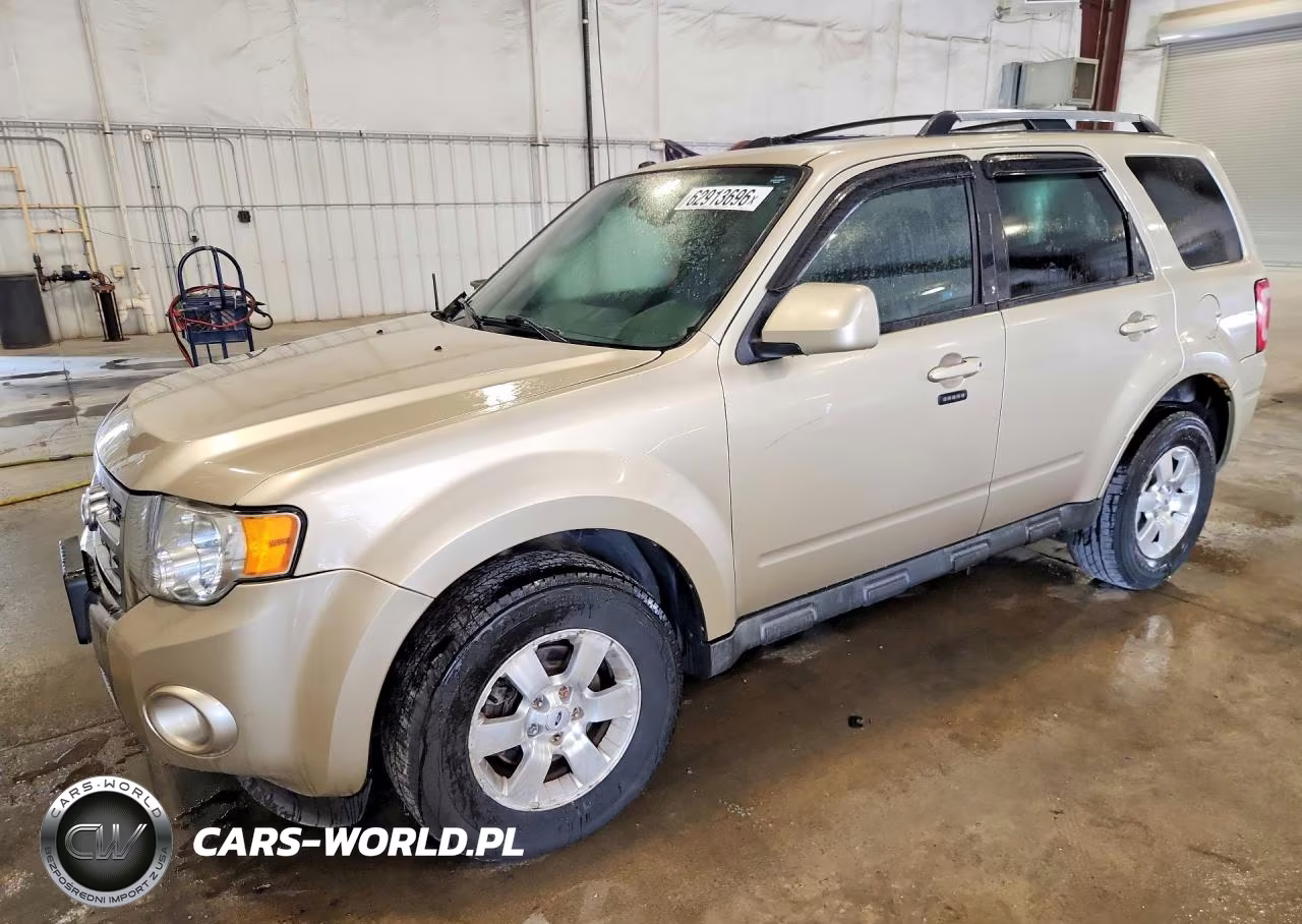 2010 Ford Escape