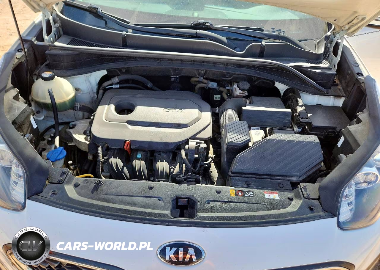 2020 Kia Sportage Ex VIN:KNDPN3AC1L7734202 - 12