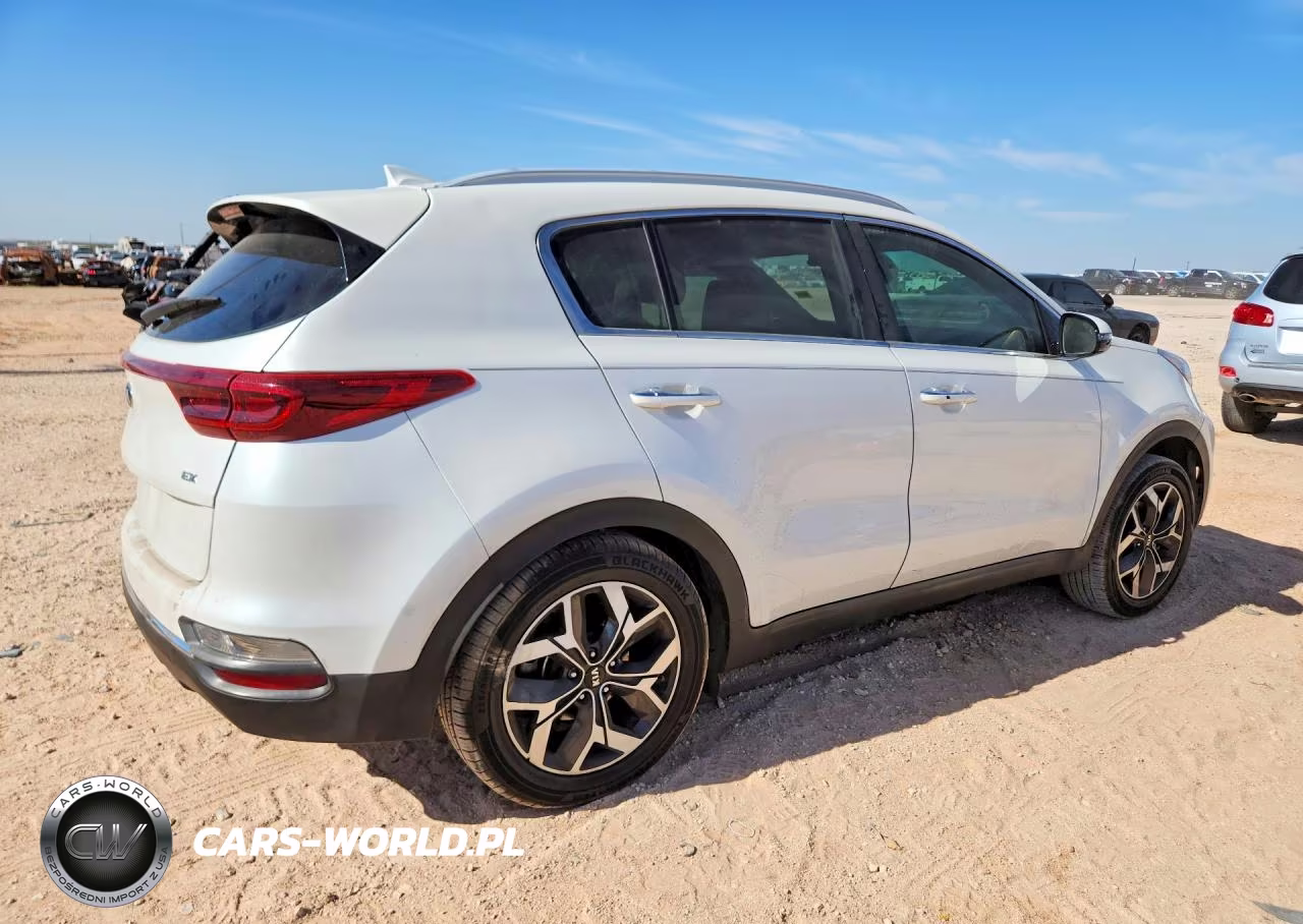2020 Kia Sportage Ex VIN:KNDPN3AC1L7734202 - 3