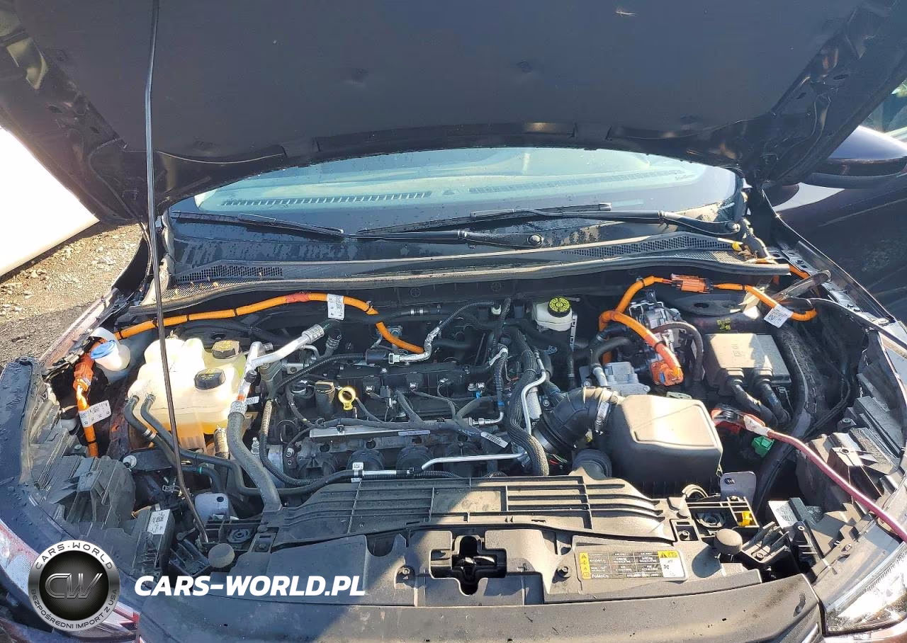 2023 Ford Escape VIN:1FMCU0E12PUA81195 - 12