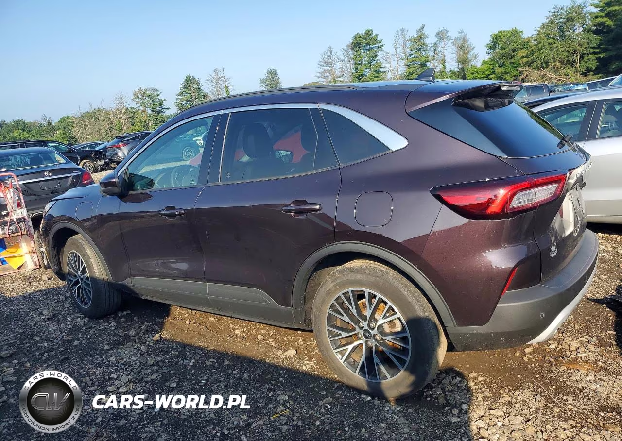 2023 Ford Escape VIN:1FMCU0E12PUA81195 - 2