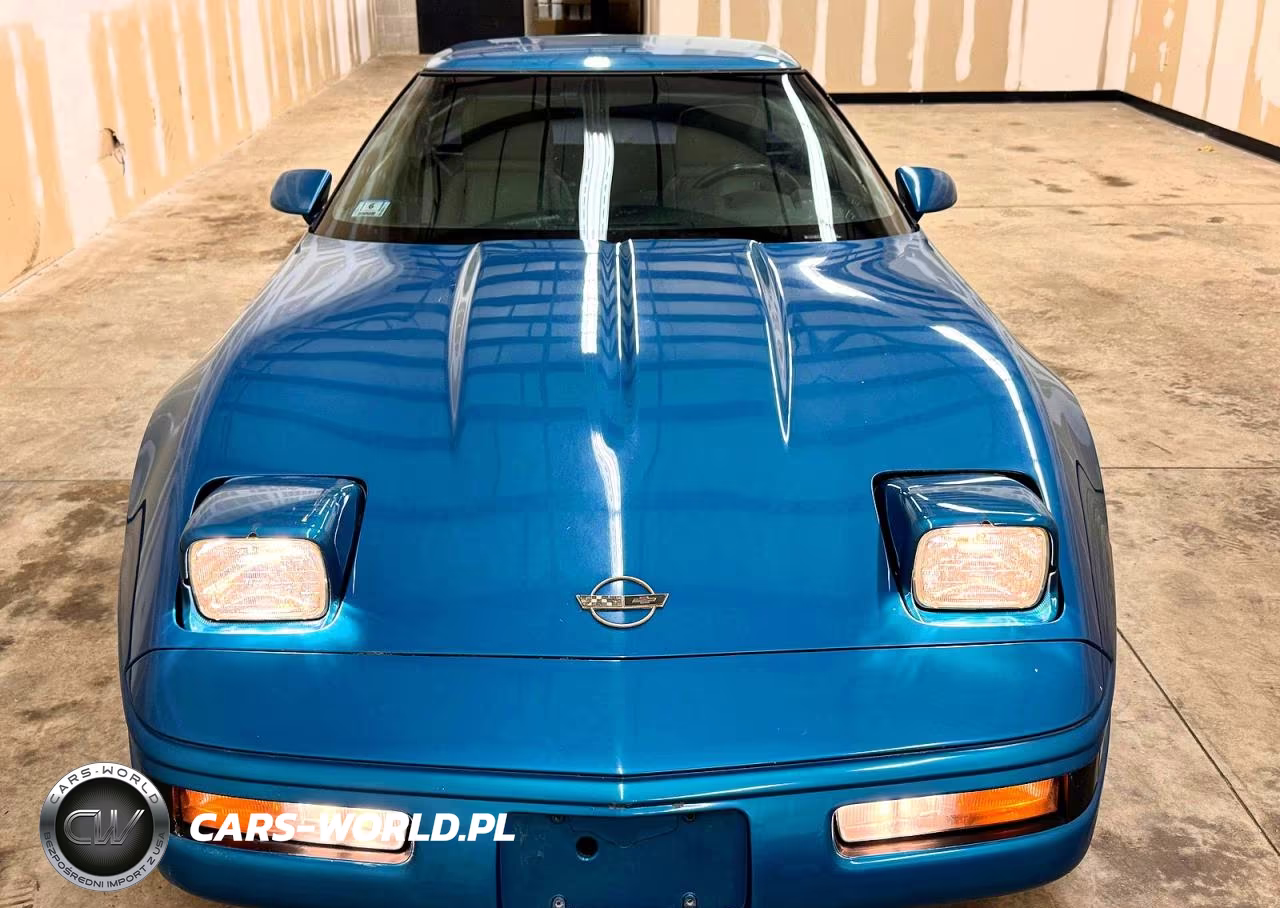 1992 Chevrolet Corvette VIN:1G1YY23P1N511473 - 6