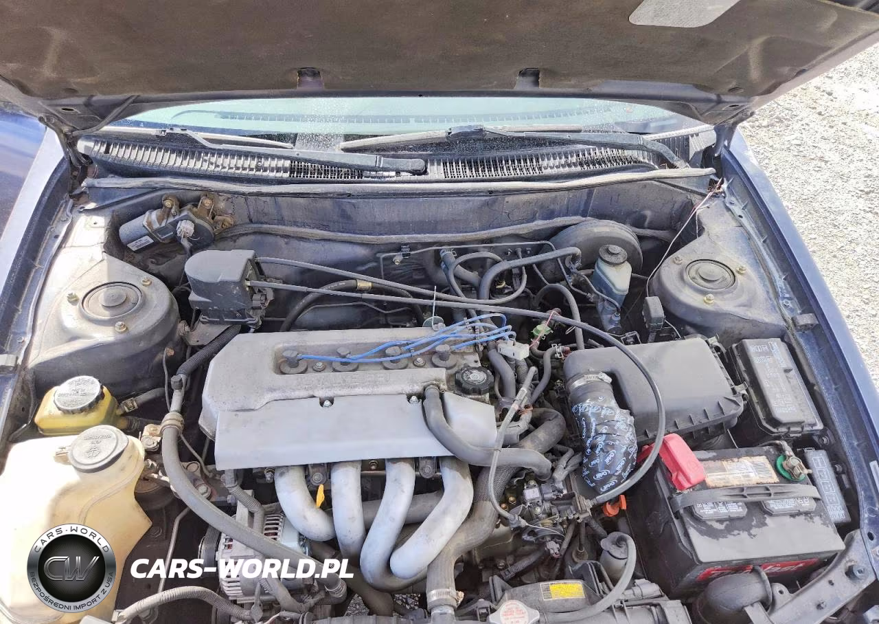 1999 Toyota Corolla Ve VIN:1NXBR12EXXZ266539 - 12