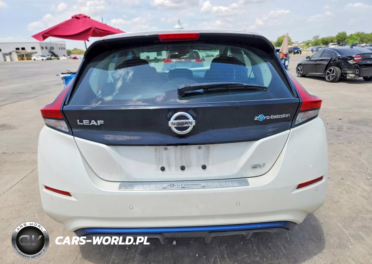 2020 Nissan Leaf Sv VIN:1N4AZ1CP1LC301815 - 6
