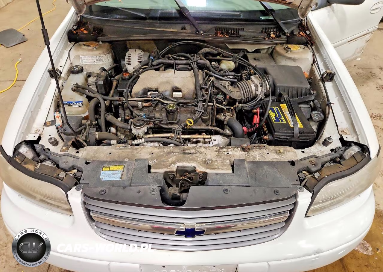 2000 Chevrolet Malibu VIN:1G1ND52J5Y6335883 - 11