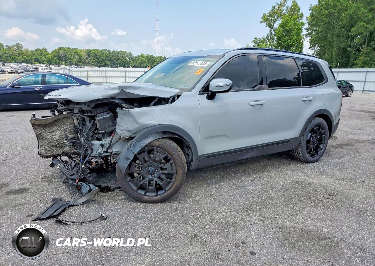 2021 Kia Telluride Sx VIN:5XYP5DHC3MG176319 - 1