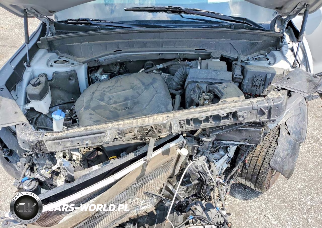 2021 Kia Telluride Sx VIN:5XYP5DHC3MG176319 - 12