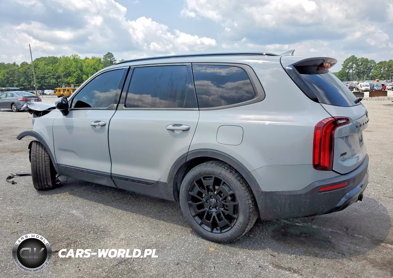 2021 Kia Telluride Sx VIN:5XYP5DHC3MG176319 - 2