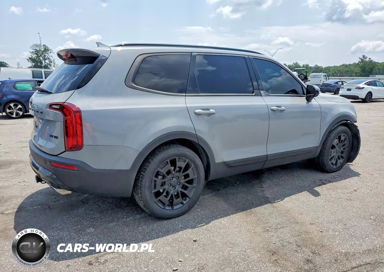 2021 Kia Telluride Sx VIN:5XYP5DHC3MG176319 - 3
