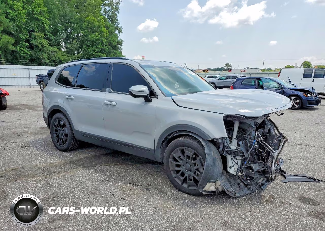 2021 Kia Telluride Sx VIN:5XYP5DHC3MG176319 - 4
