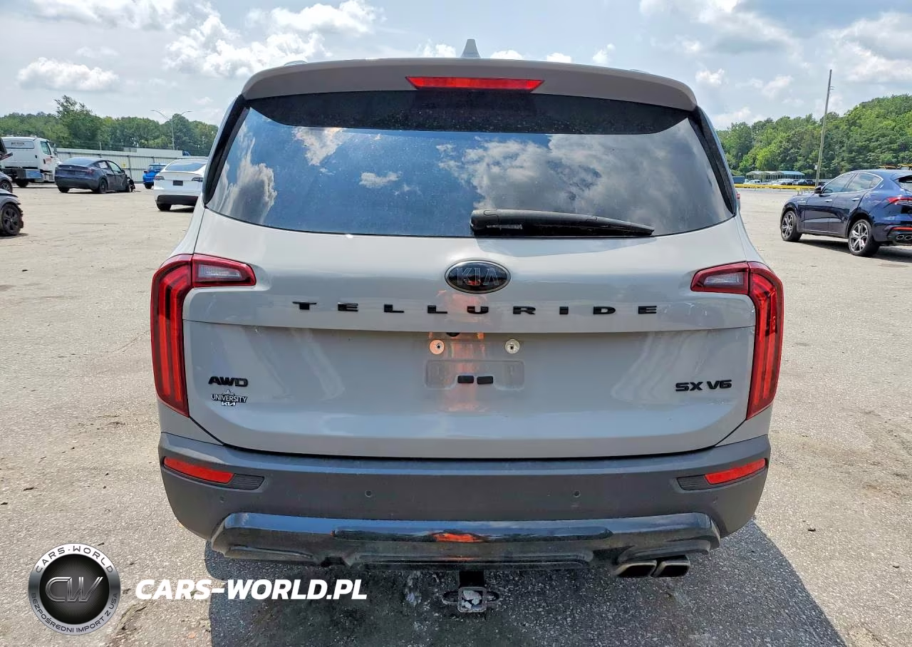 2021 Kia Telluride Sx VIN:5XYP5DHC3MG176319 - 6