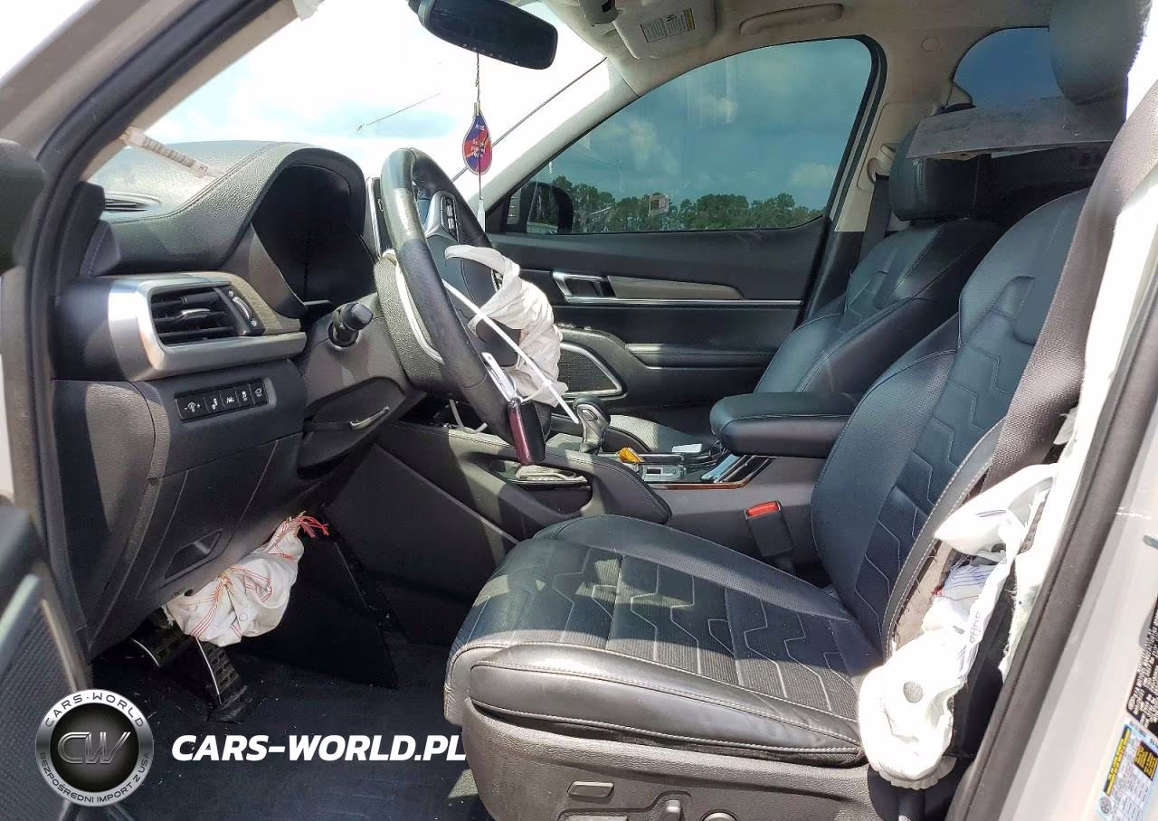 2021 Kia Telluride Sx VIN:5XYP5DHC3MG176319 - 7