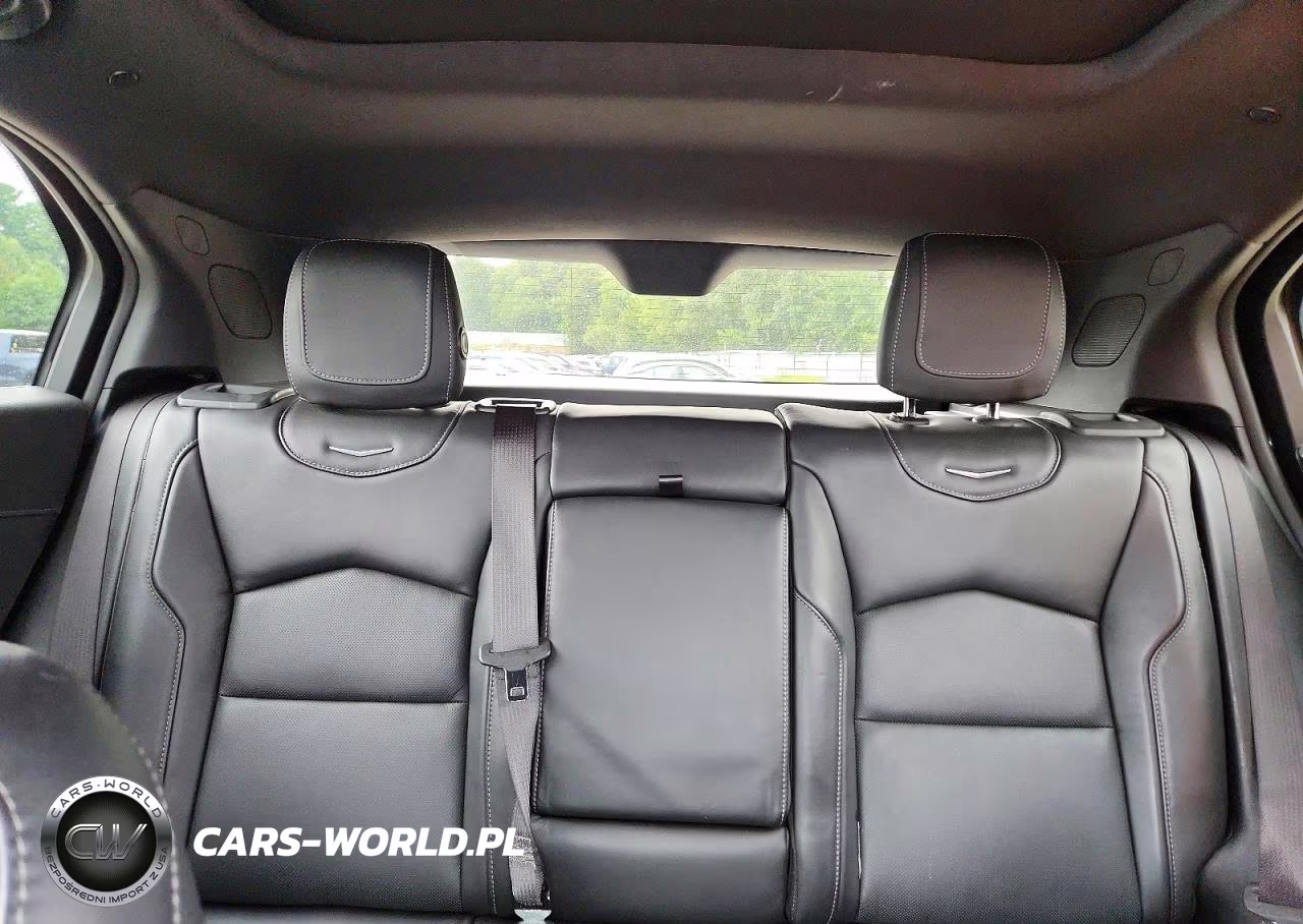 2020 Cadillac Xt4 Premium Luxury VIN:1GYFZDR41LF072365 - 10