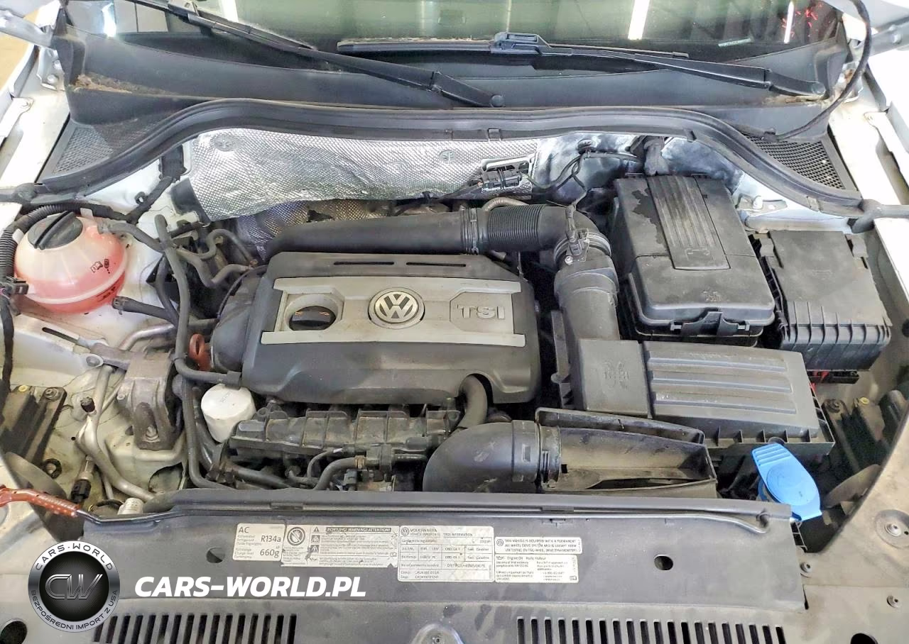 2012 Volkswagen Tiguan S VIN:WVGBV7AX2CW607397 - 12