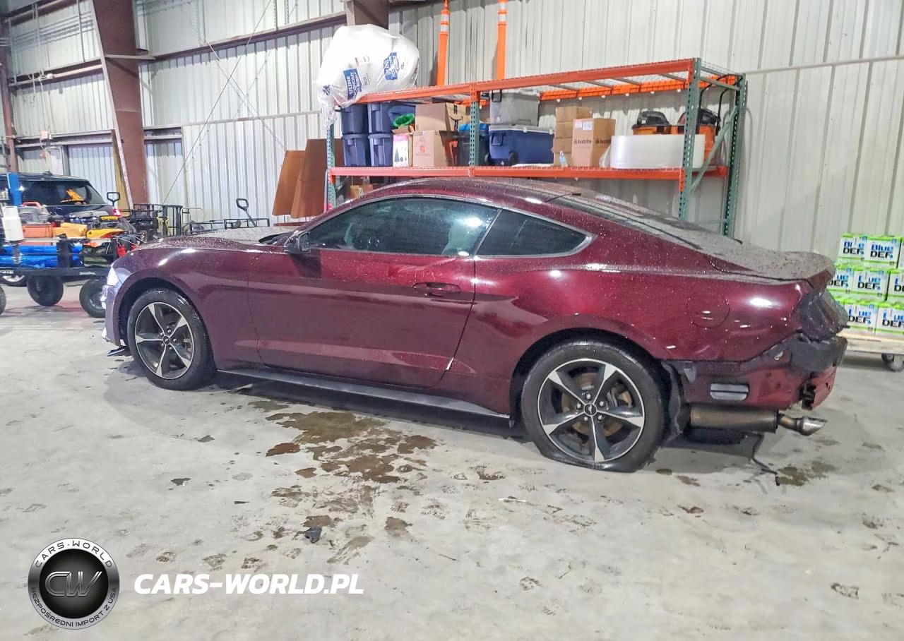 2018 Ford Mustang VIN:1FA6P8TH1J5165149 - 2
