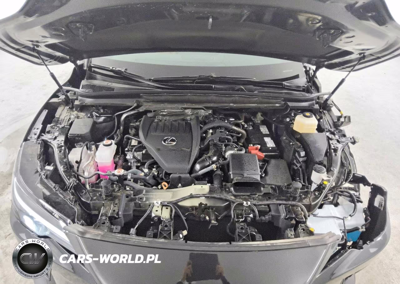 2025 Lexus Rx 350 Base VIN:2T2BAMBA2SC067531 - 12