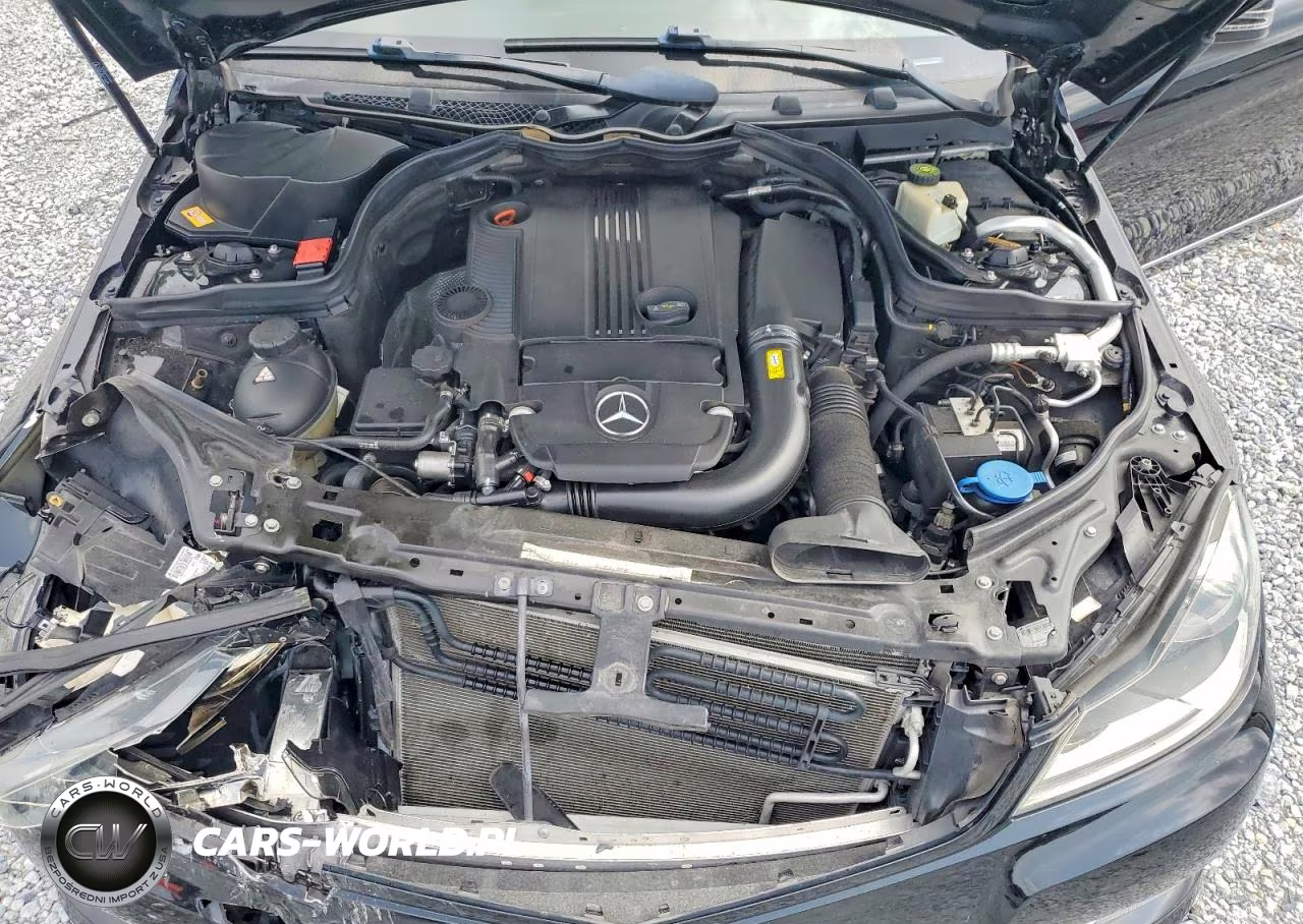 2014 Mercedes-Benz C 250 VIN:WDDGF4HB5EG233709 - 11