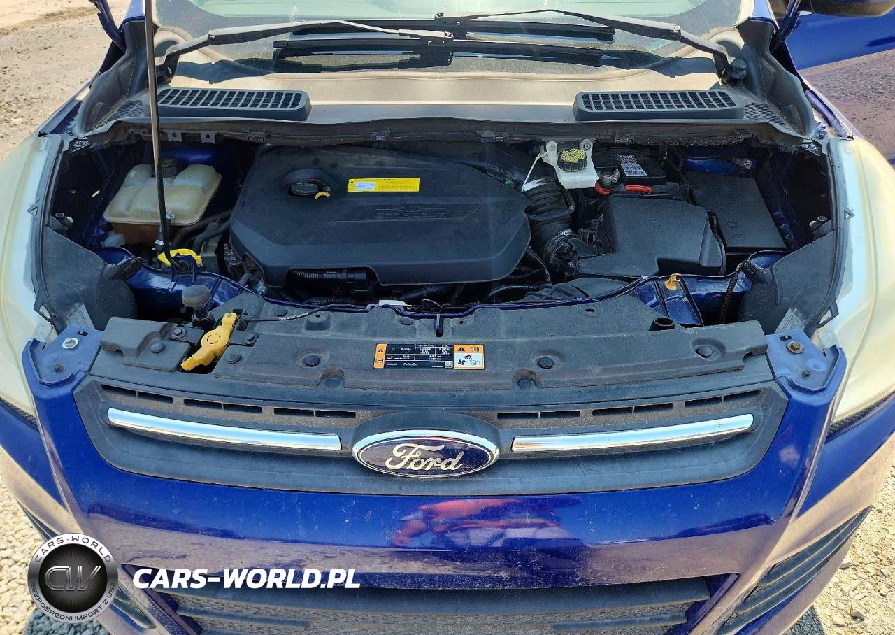 2016 Ford Escape Se VIN:1FMCU0GX1GUC90171 - 12