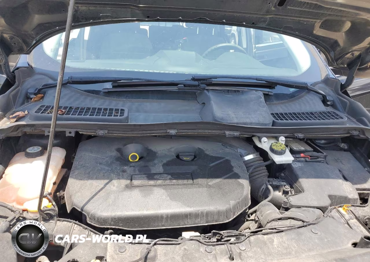 2013 Ford Escape Se VIN:1FMCU0G9XDUC84317 - 12
