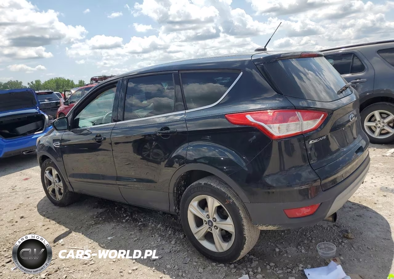 2013 Ford Escape Se VIN:1FMCU0G9XDUC84317 - 2