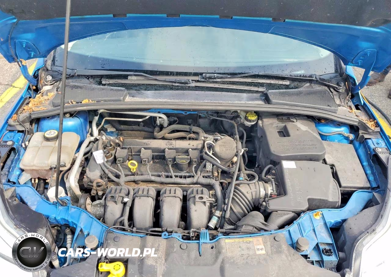 2012 Ford Focus Sel VIN:1FAHP3M27CL256608 - 12